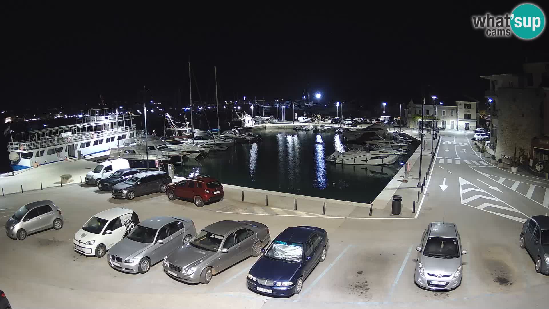 Novigrad | Porporela marina