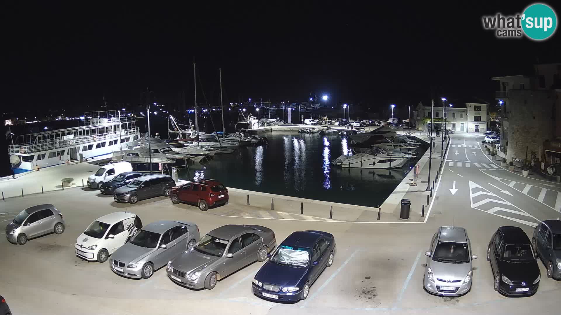 Novigrad | Porporela marina