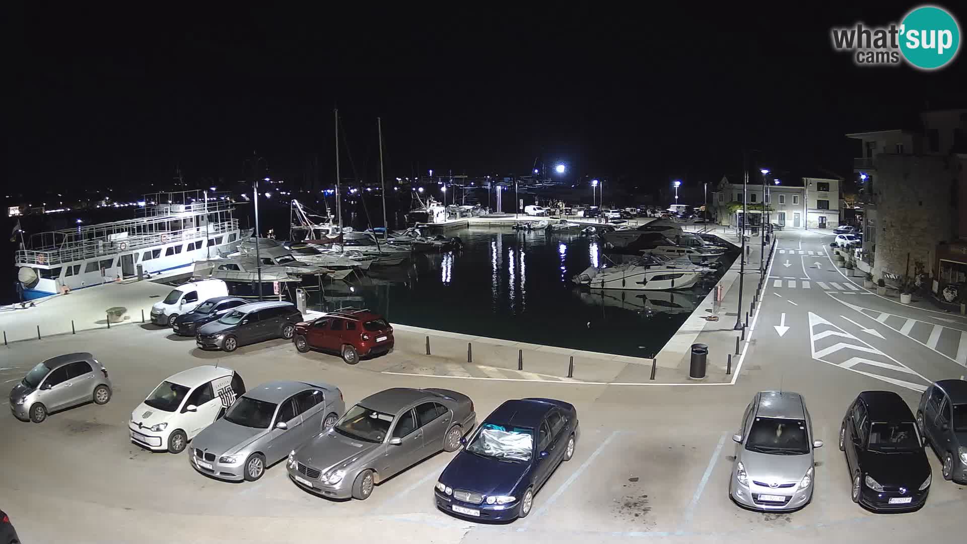 Novigrad | Porporela marina