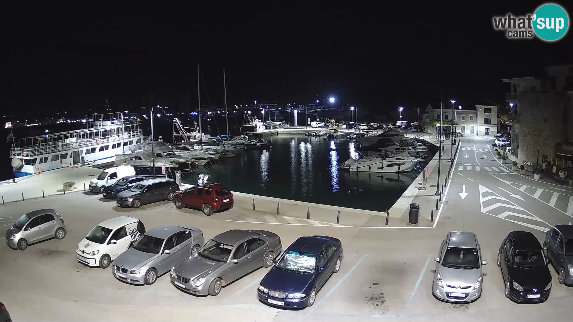 Novigrad | Porporela marina