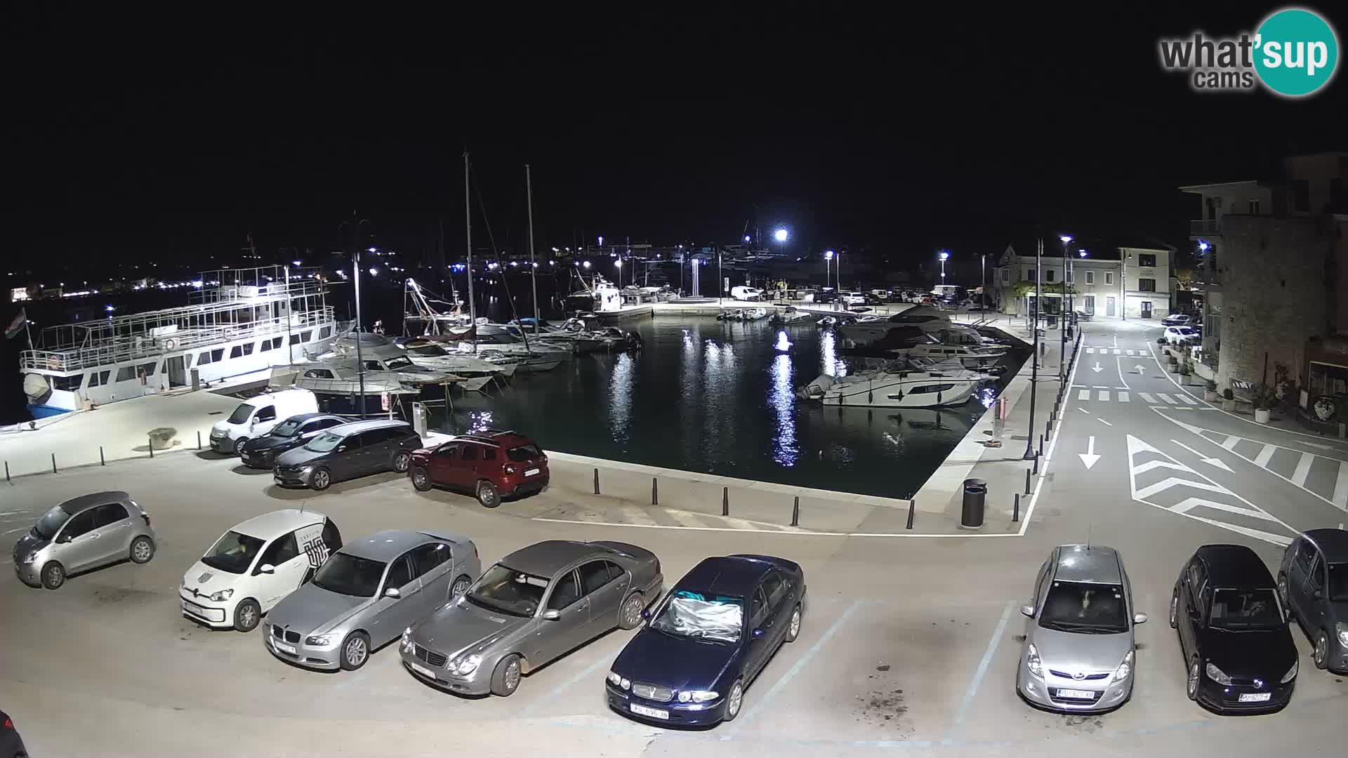 Novigrad | Porporela marina