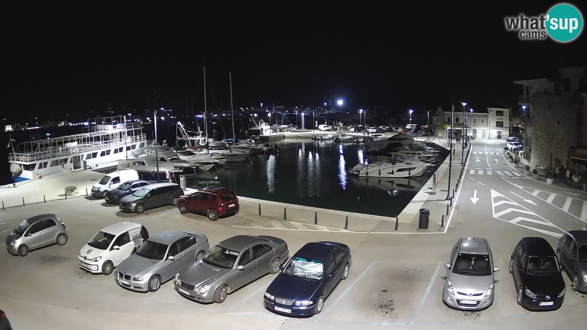 Novigrad | Porporela marina