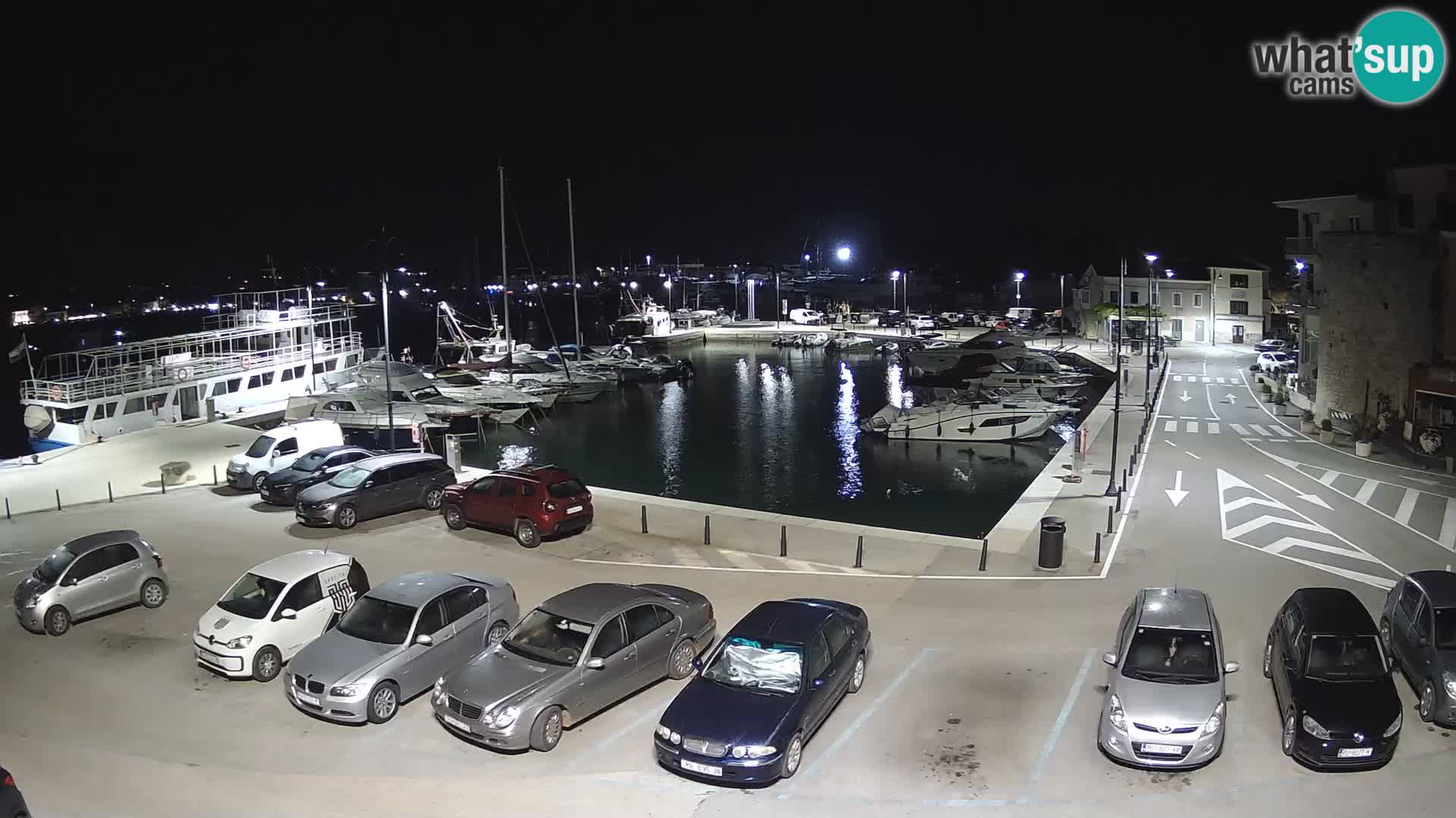 Novigrad | Porporela marina