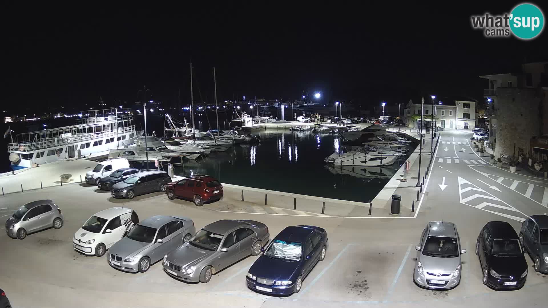 Novigrad | Porporela marina