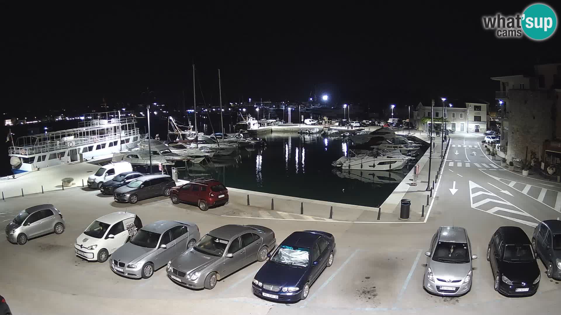 Novigrad | Porporela marina