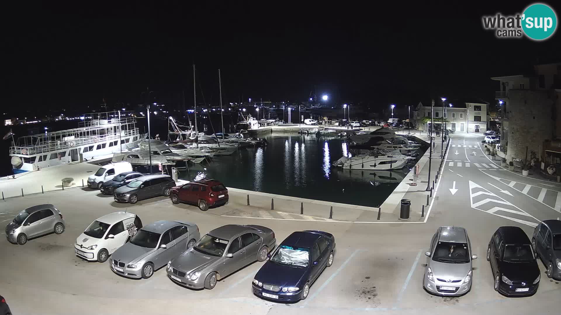Novigrad | Porporela marina