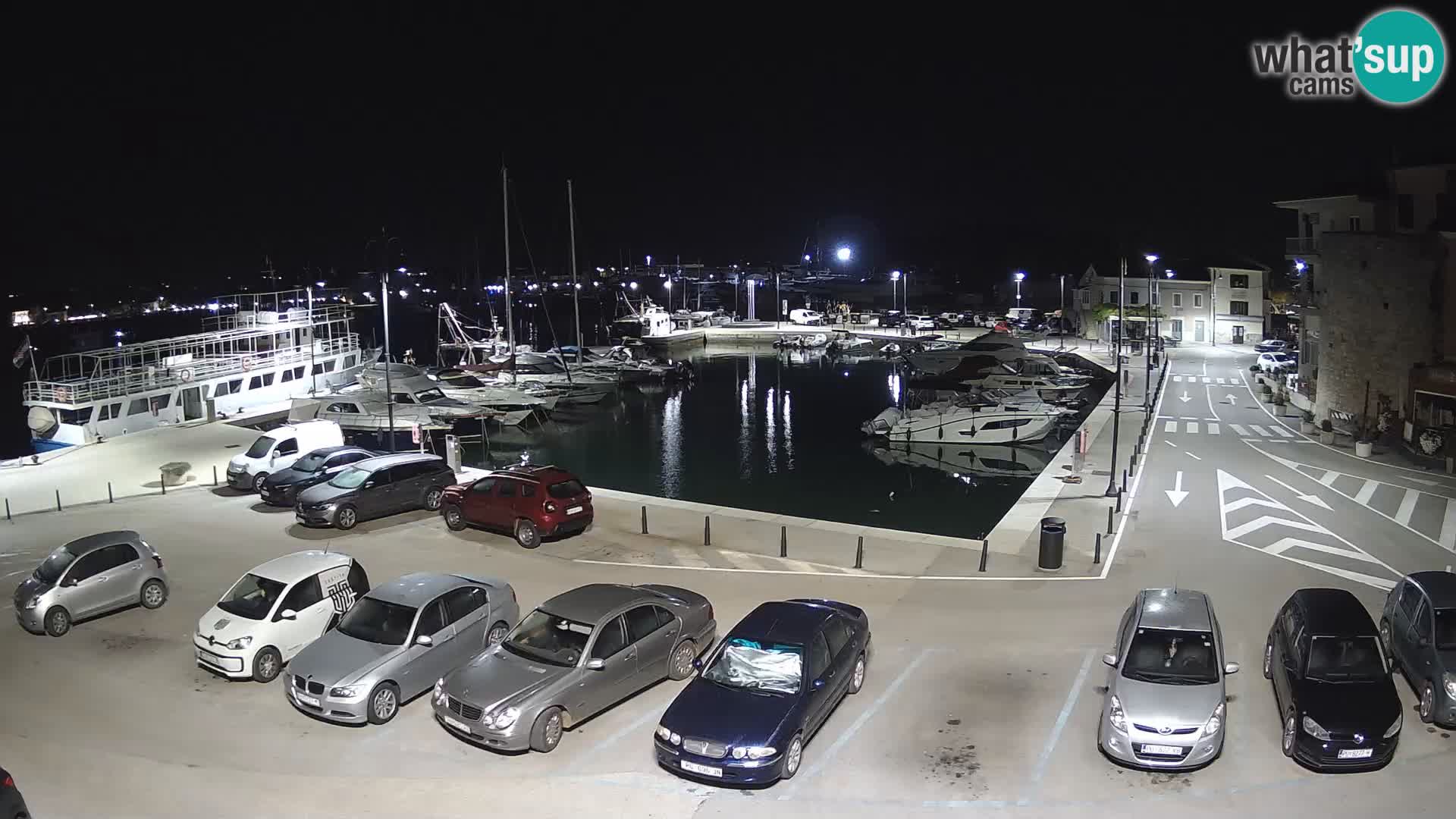 Novigrad | Porporela marina