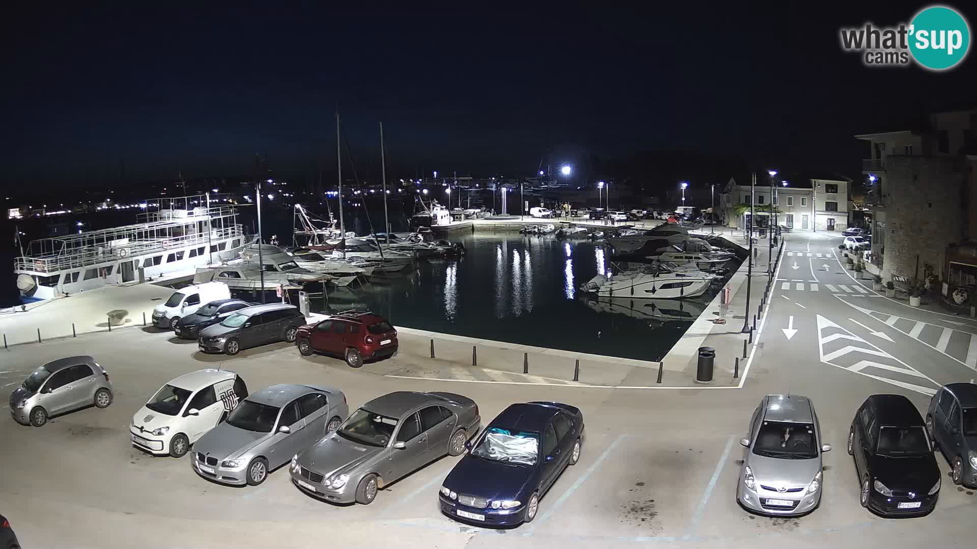 Novigrad | Porporela marina