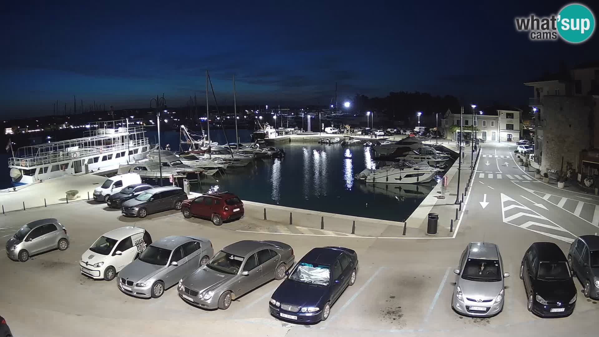 Novigrad | Porporela marina