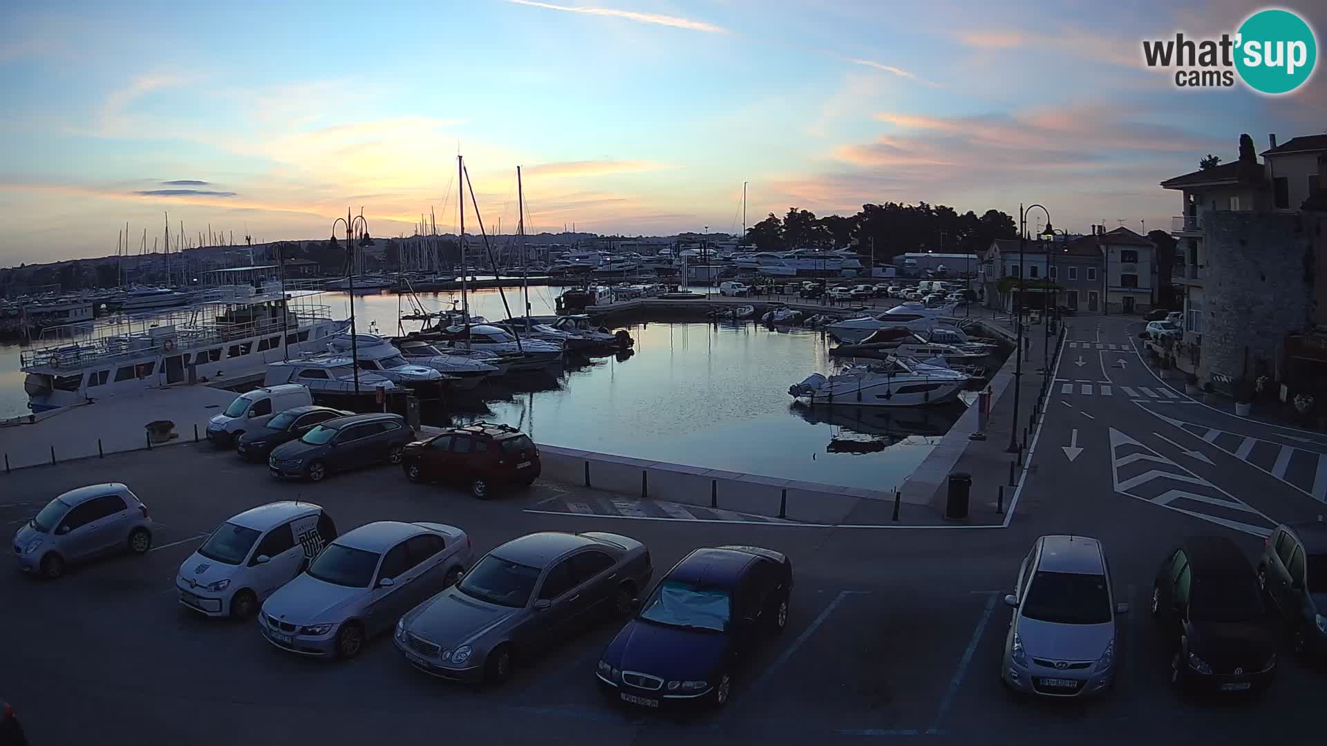 Novigrad | Porporela marina