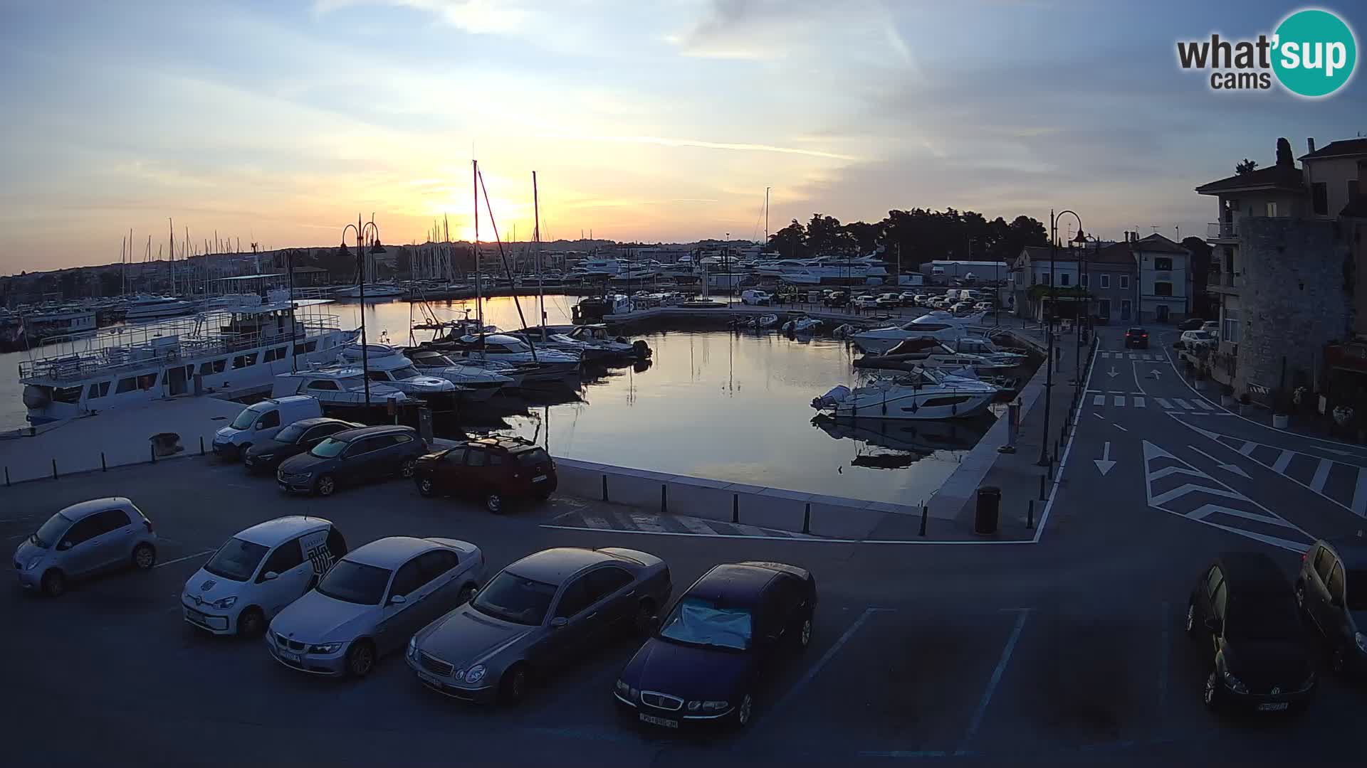 Novigrad | Porporela marina