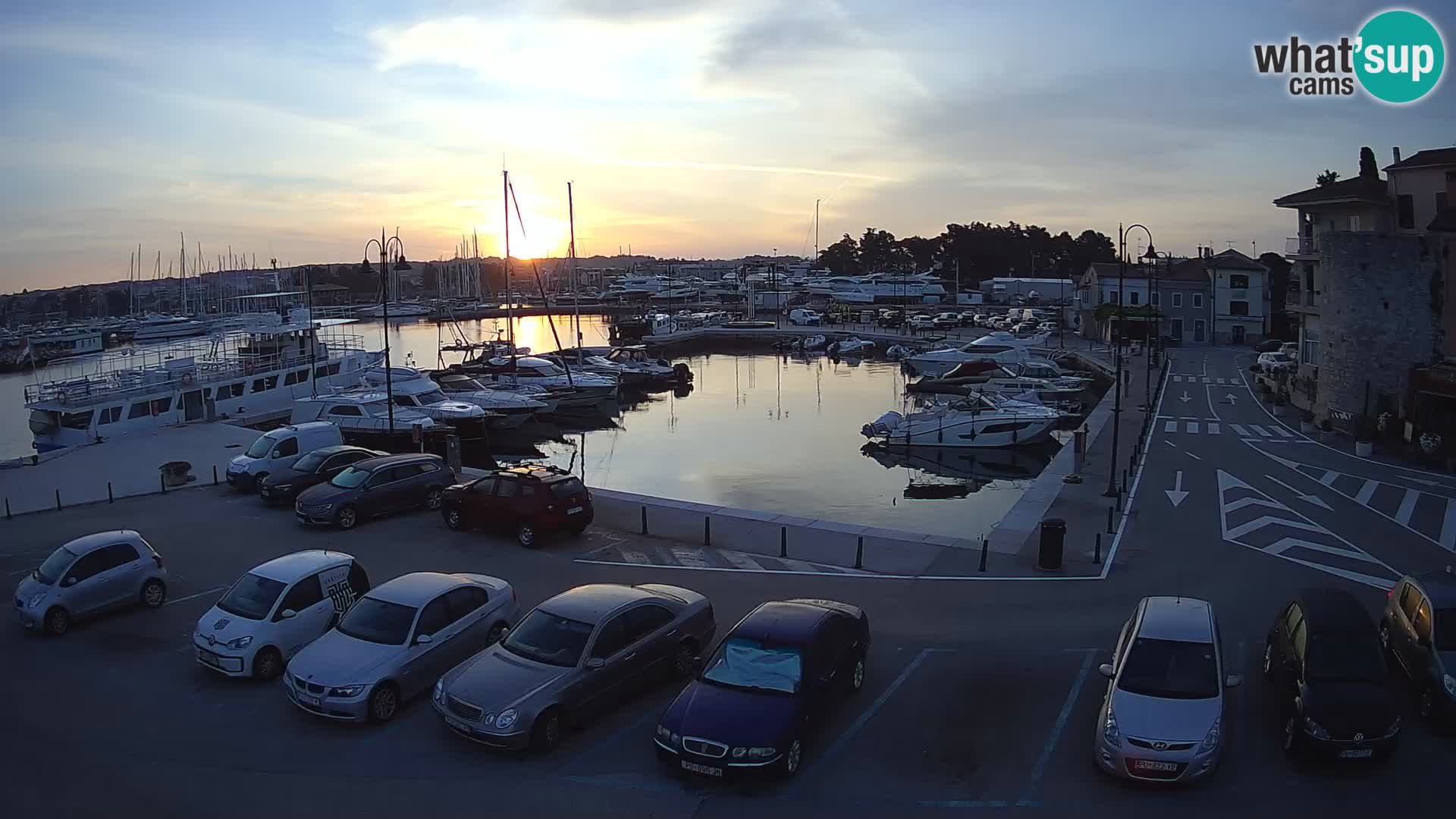 Novigrad | Porporela marina