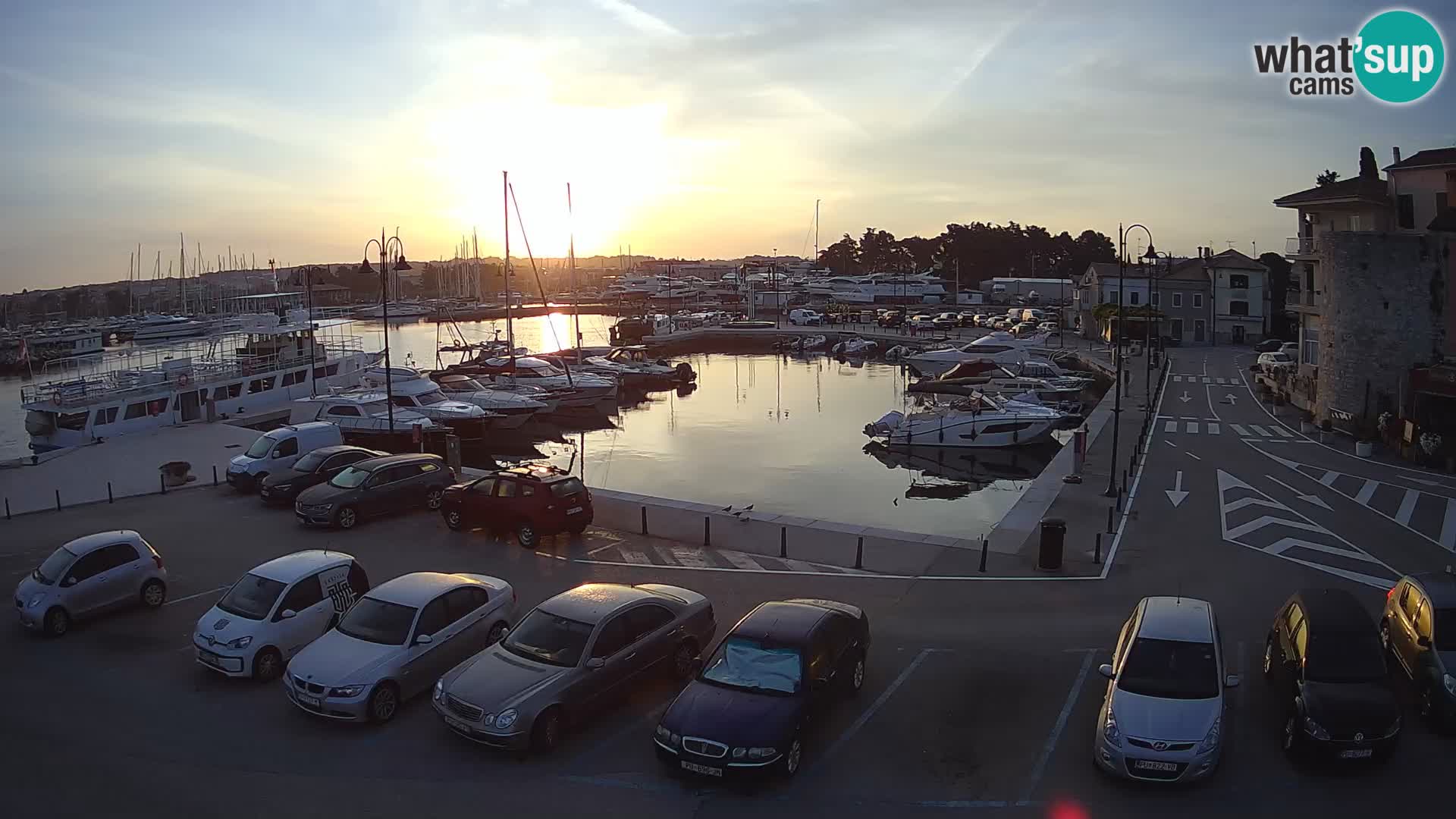 Novigrad | Porporela marina