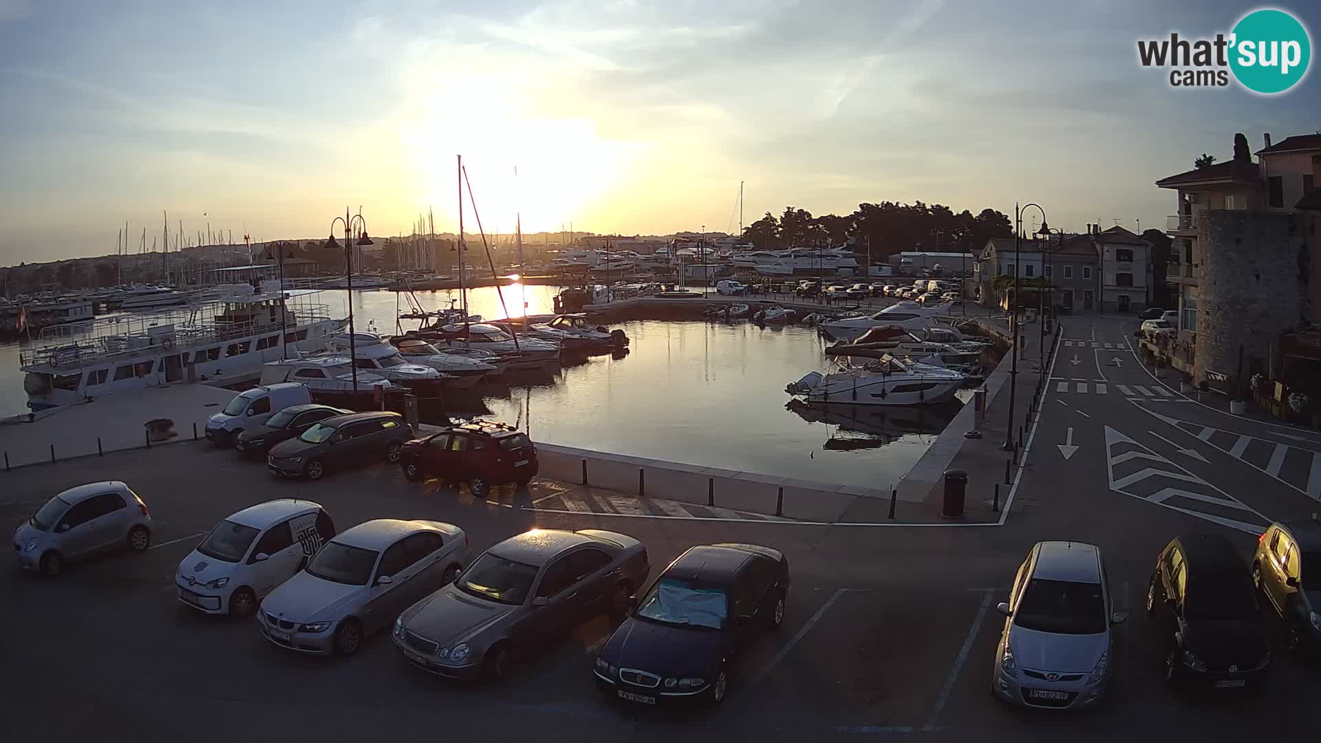 Novigrad | Porporela marina