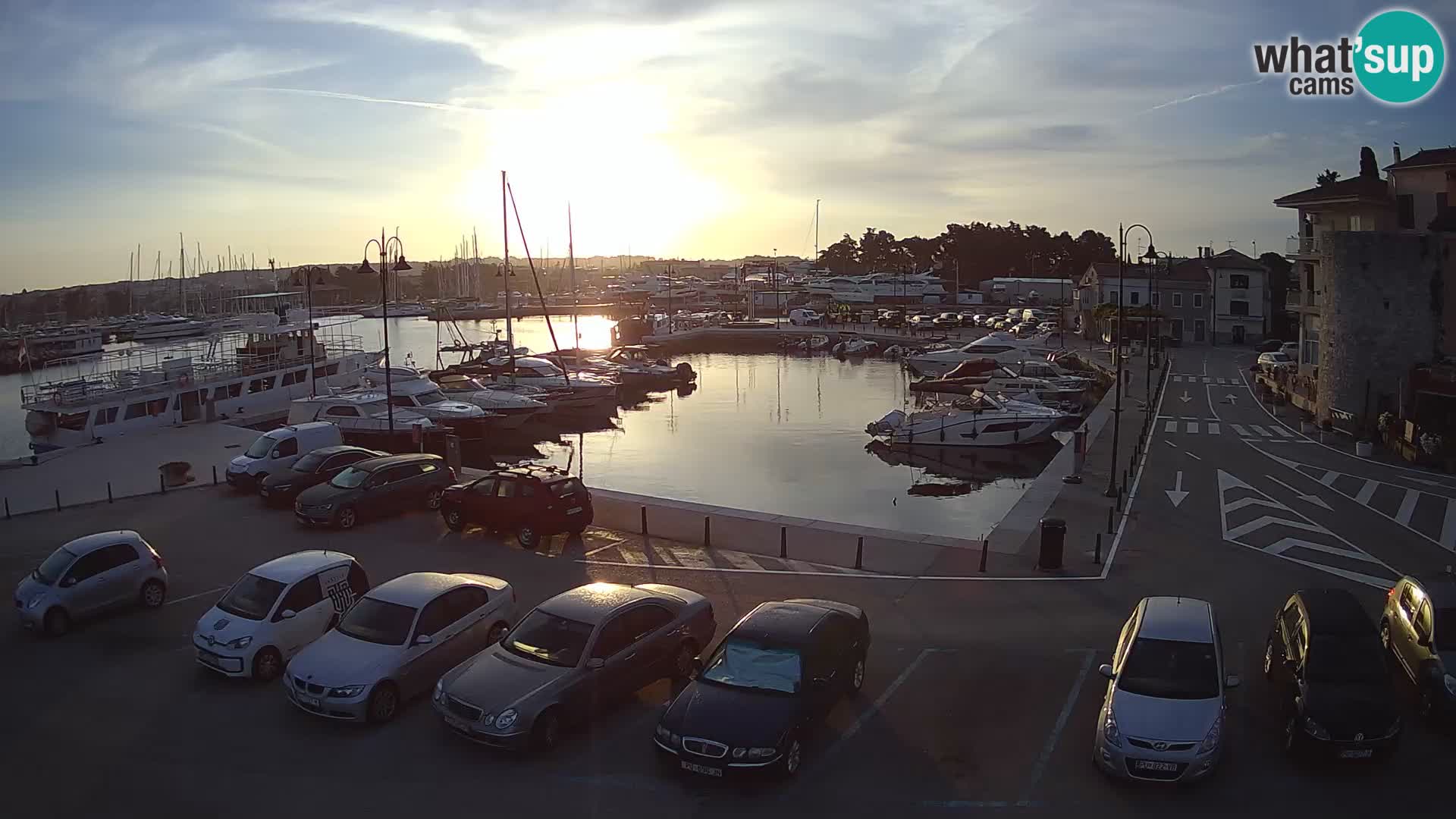 Novigrad | Porporela marina