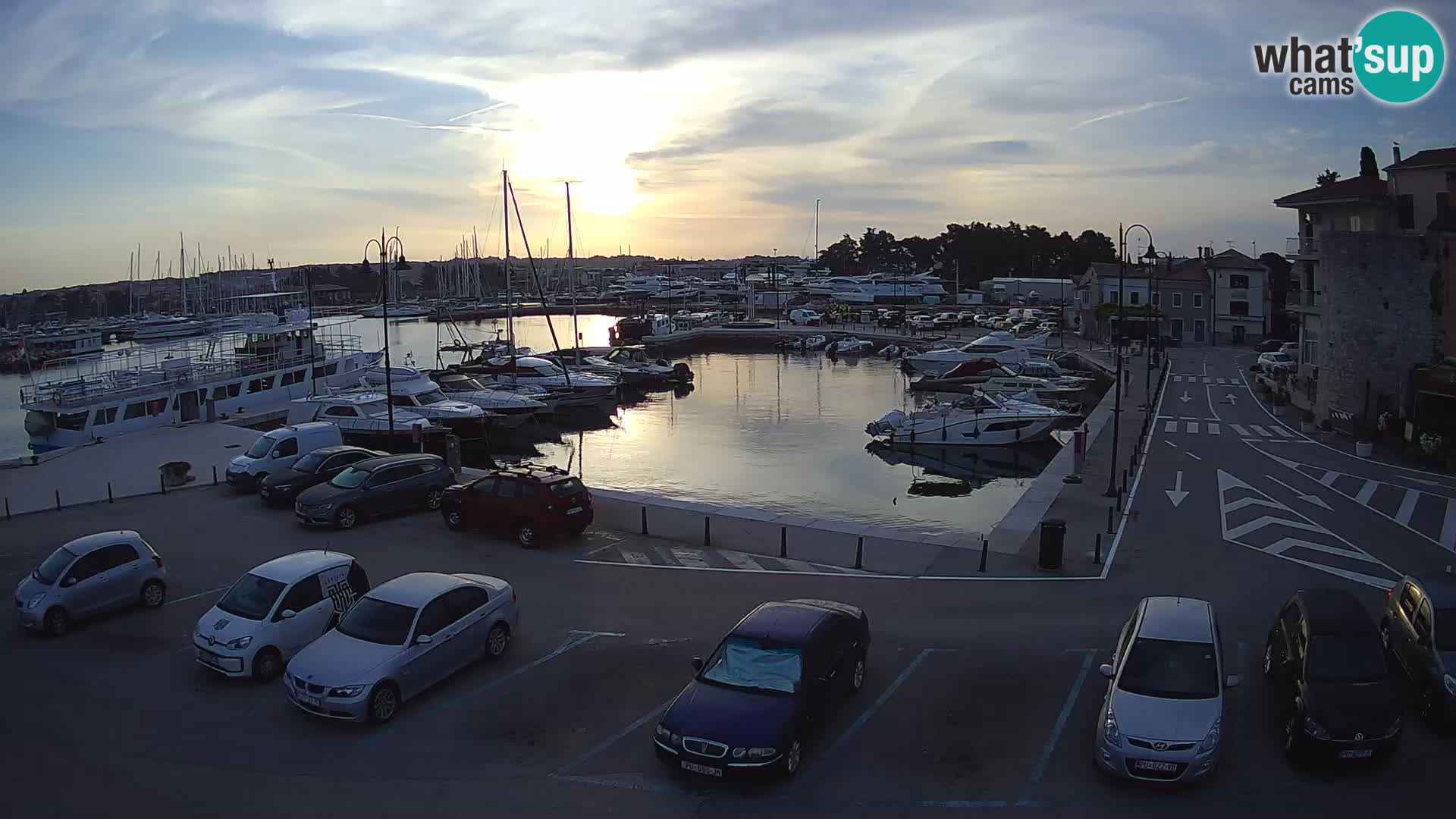 Novigrad | Porporela marina