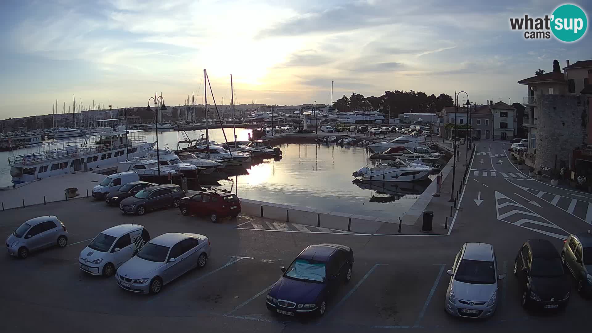 Novigrad | Porporela marina