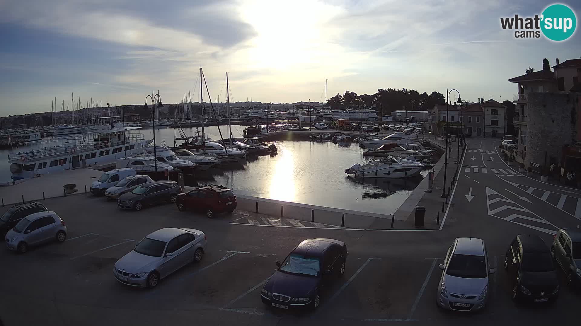 Novigrad | Porporela marina