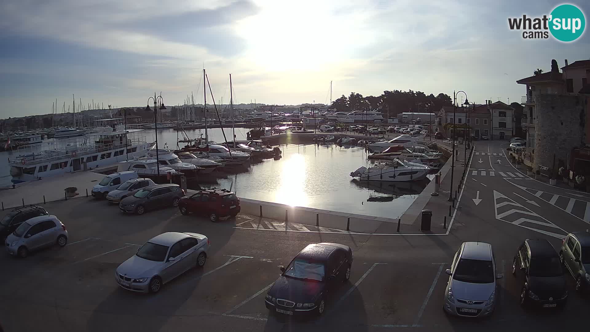 Novigrad | Porporela marina