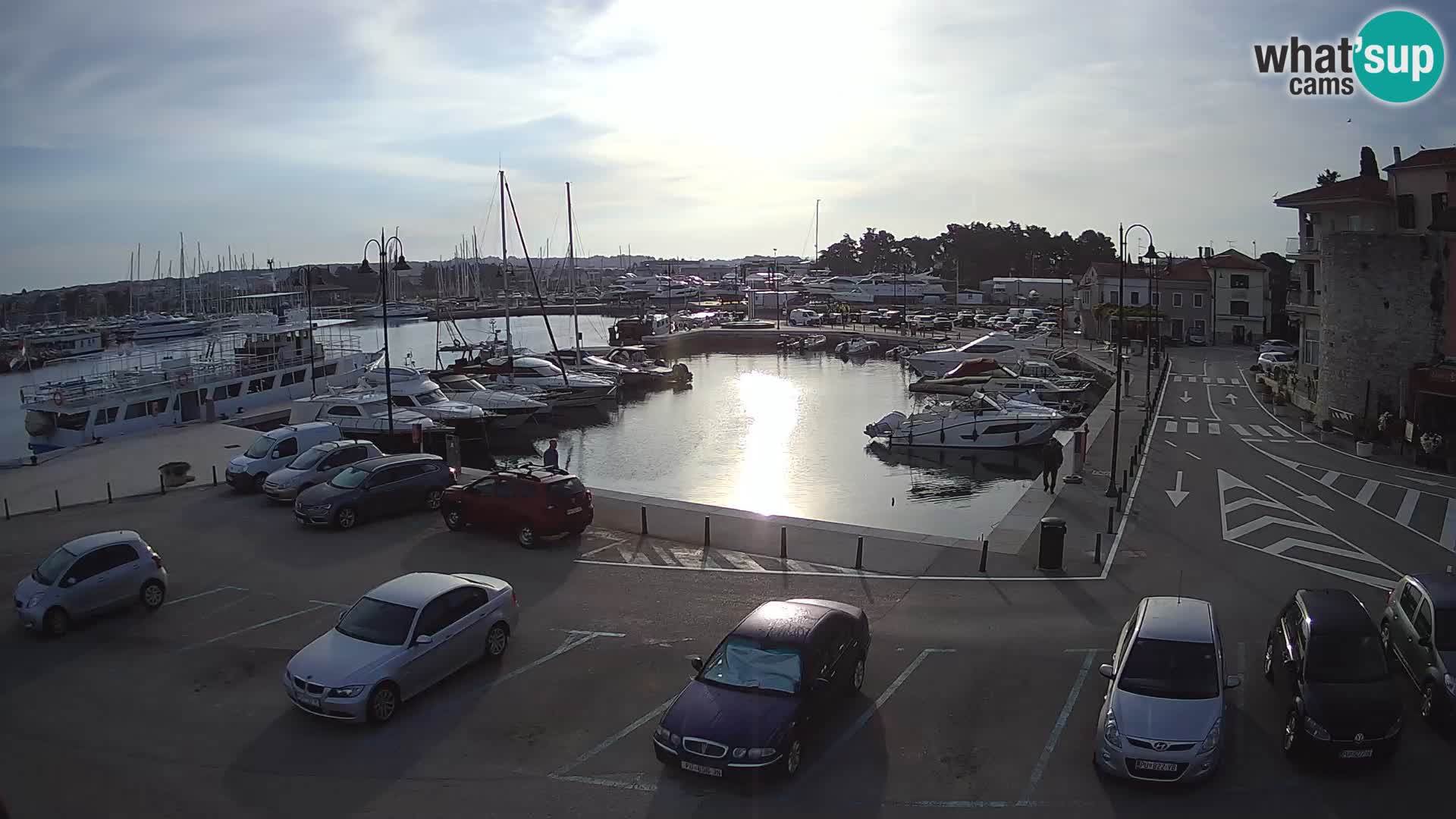 Novigrad | Porporela marina