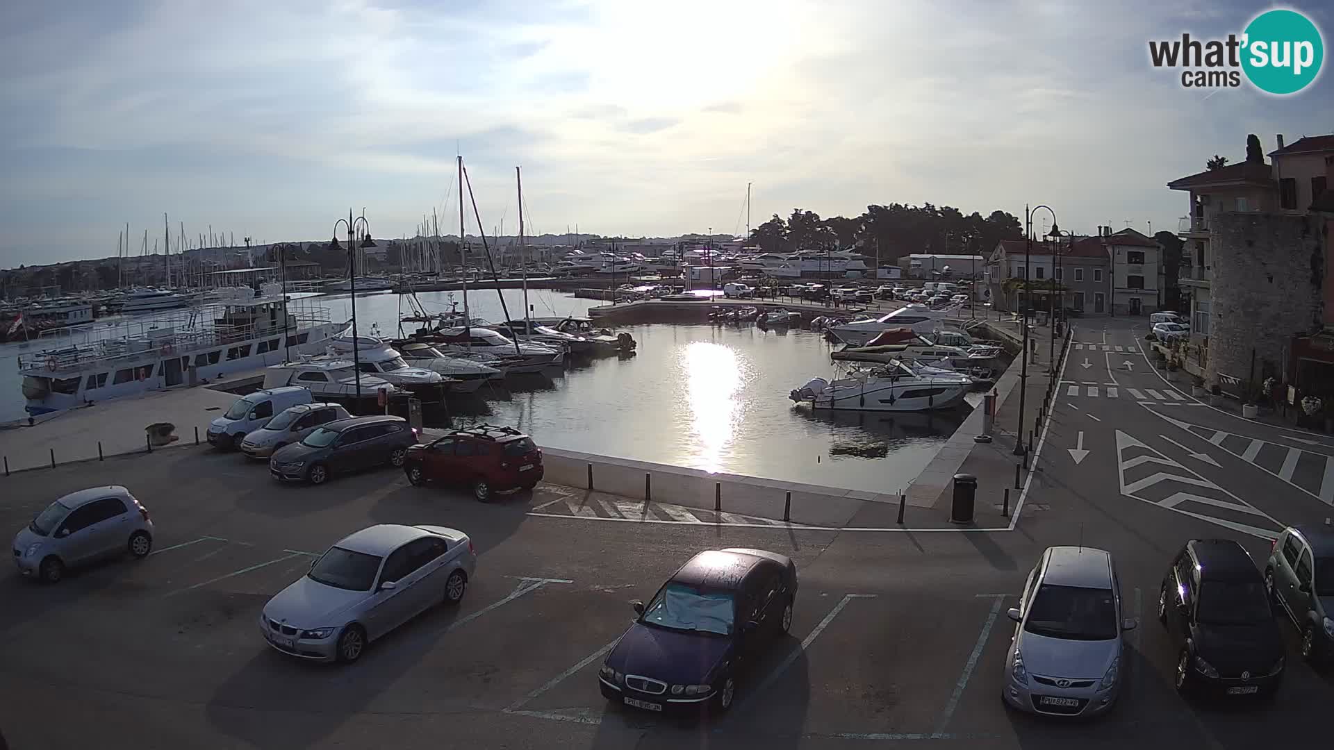 Novigrad | Porporela marina