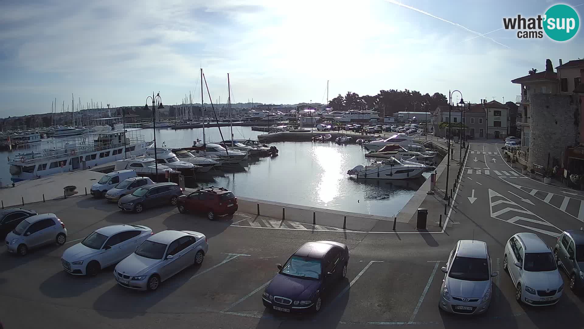 Novigrad | Porporela marina