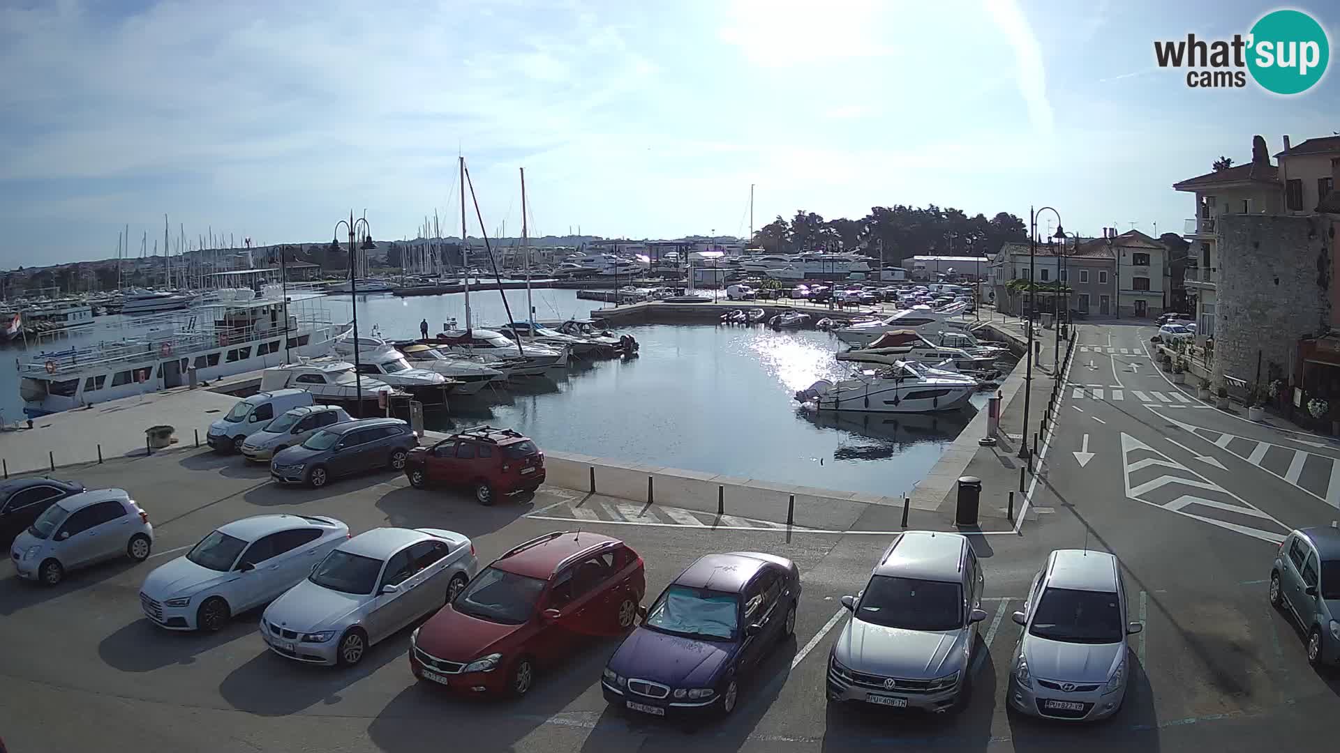 Novigrad | Porporela marina