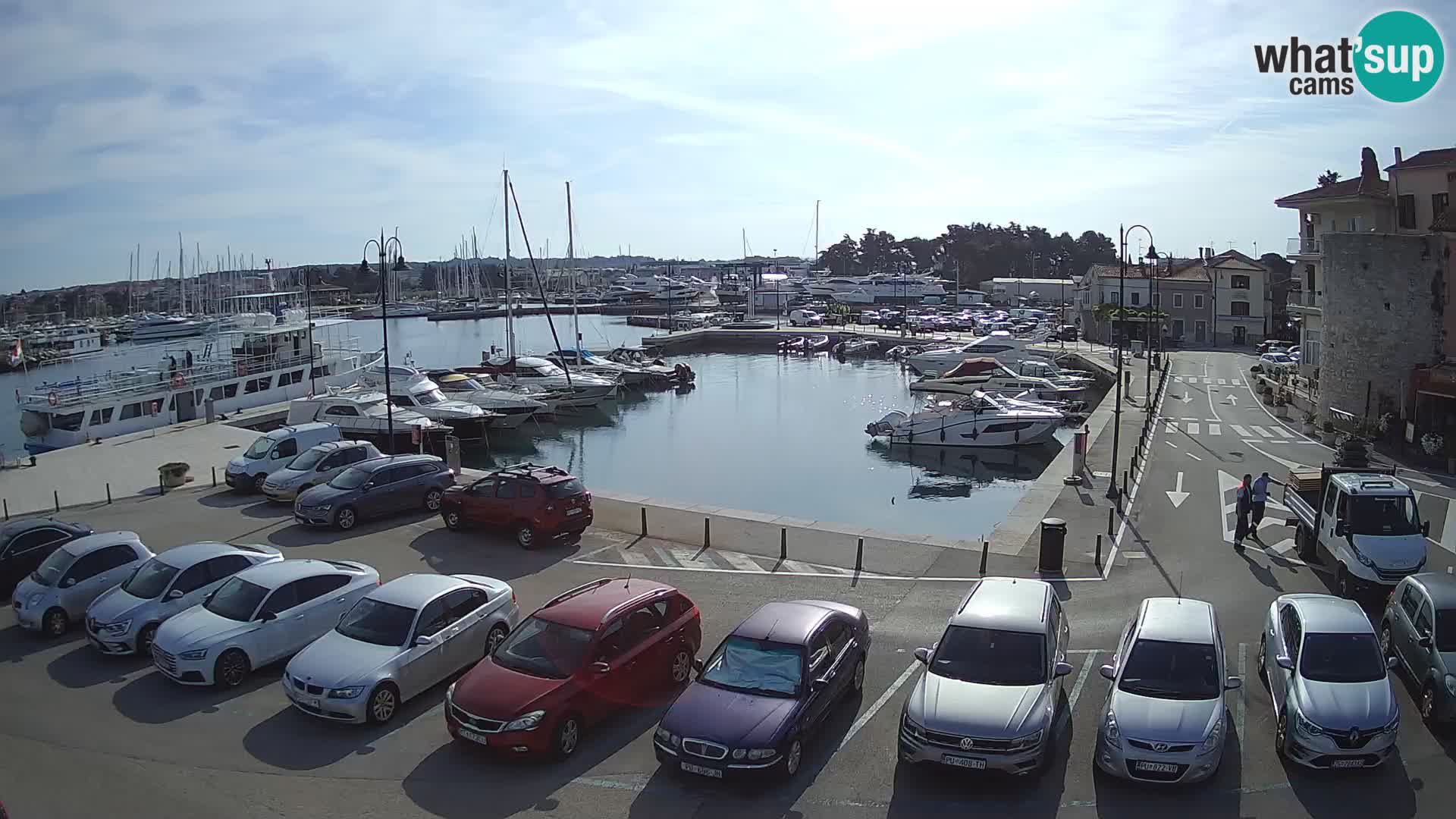 Novigrad | Porporela marina