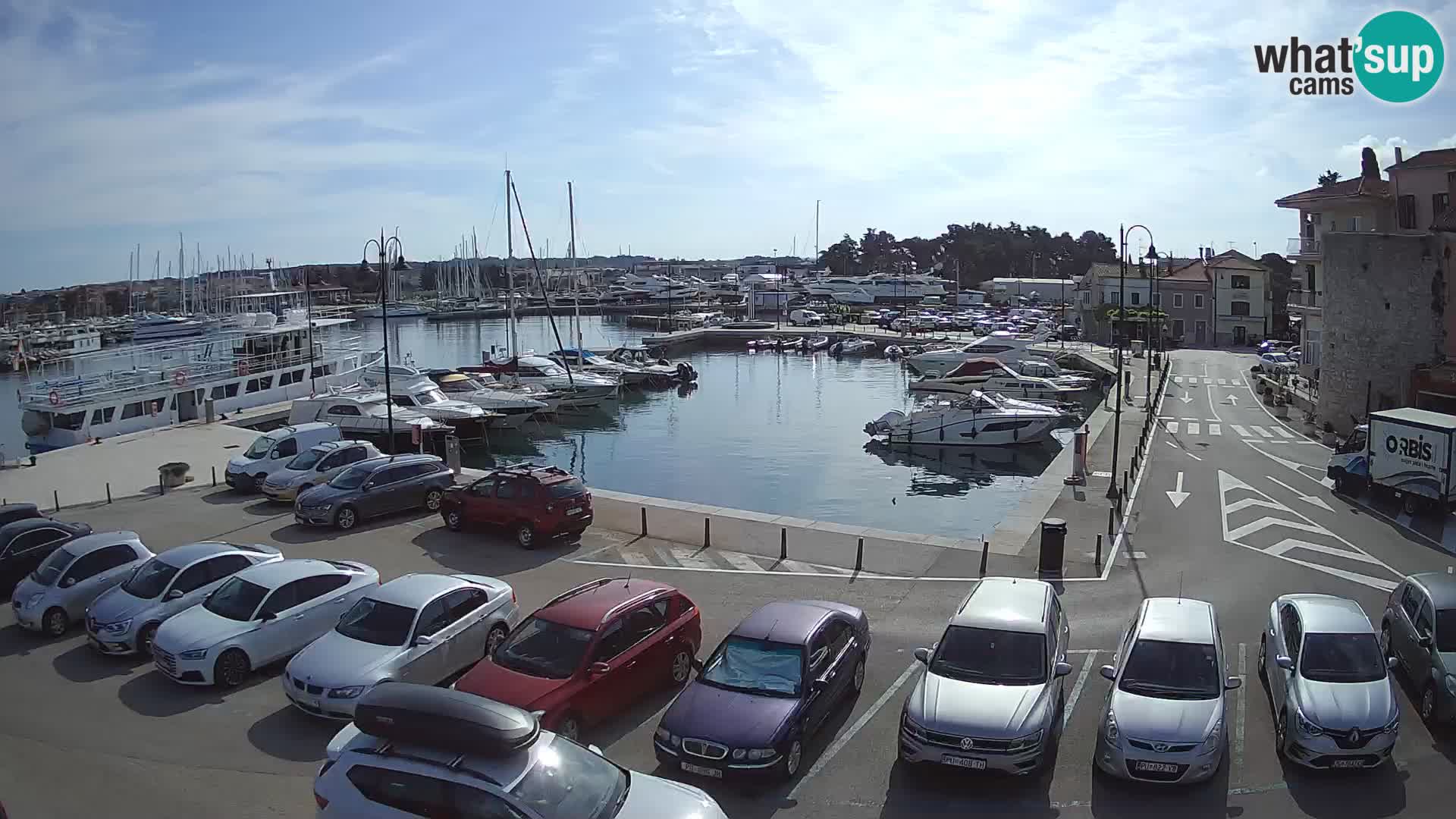 Novigrad | Porporela marina