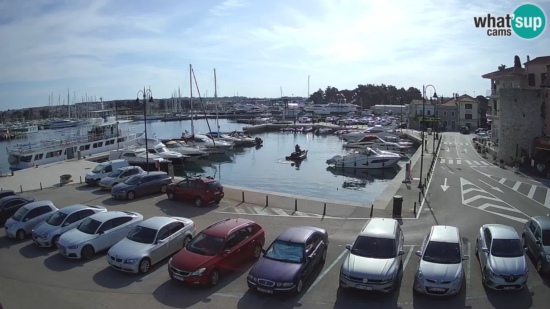 Novigrad | Porporela marina