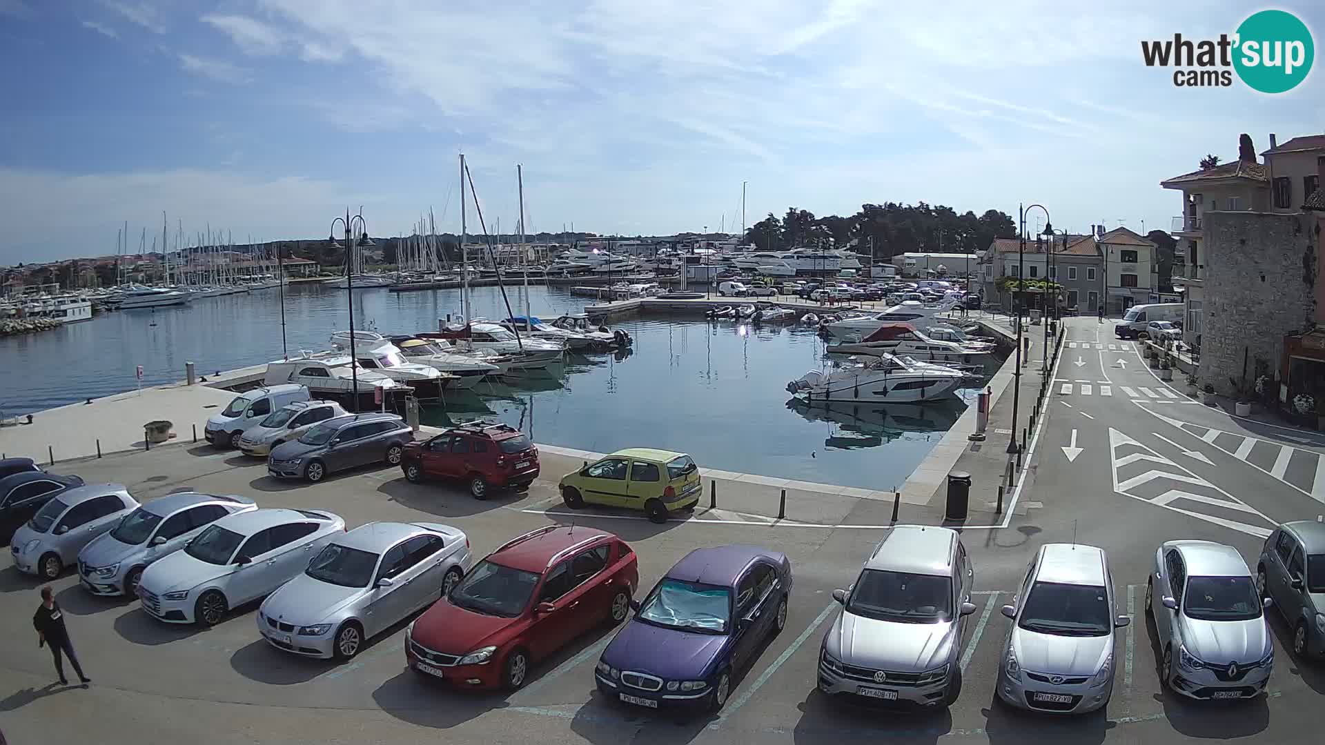 Novigrad | Porporela marina