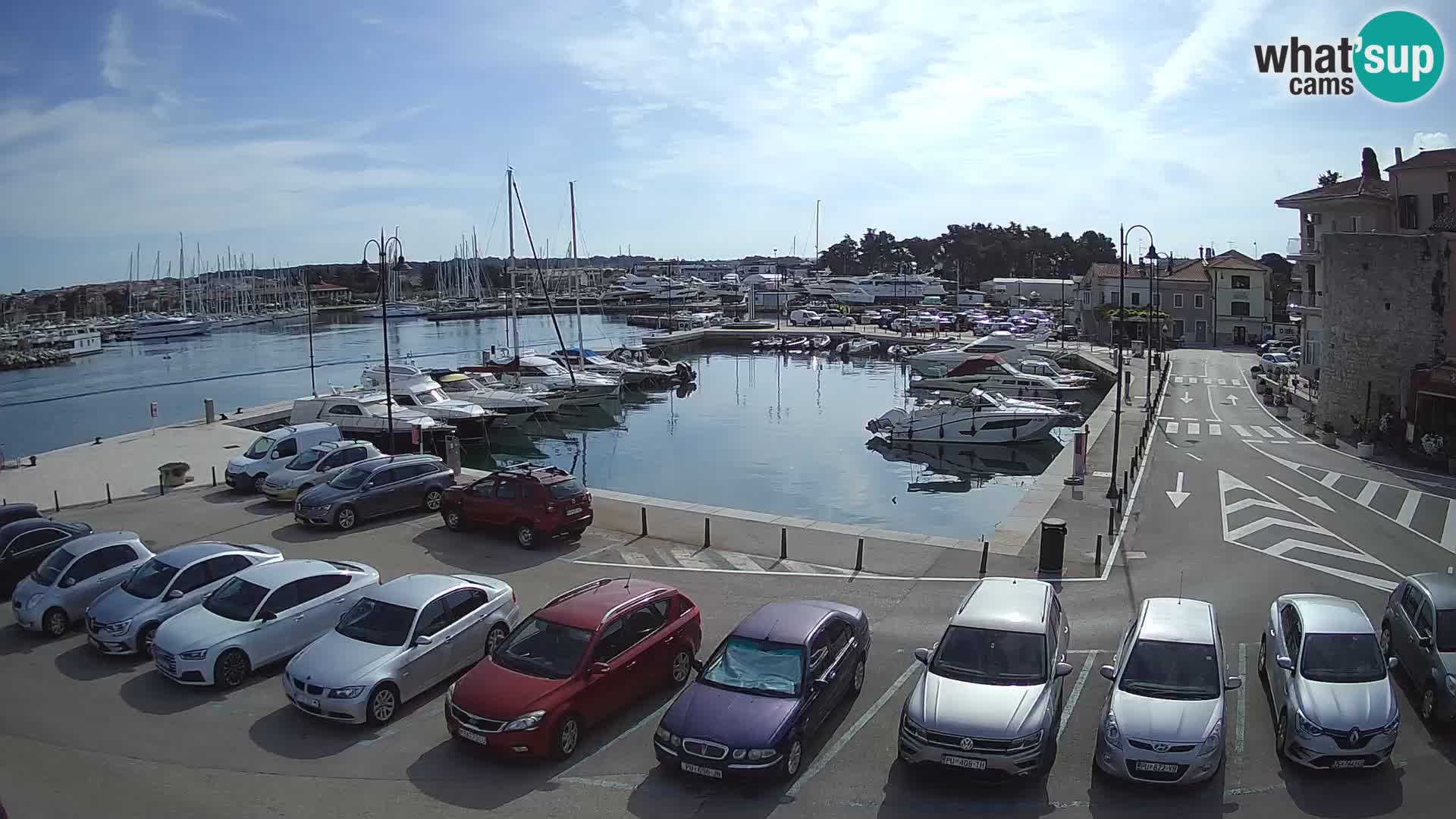 Novigrad | Porporela marina