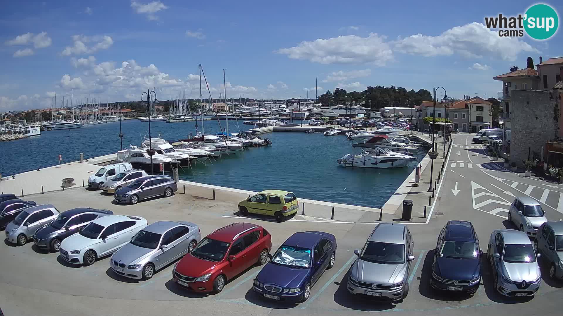 Novigrad | Porporela marina
