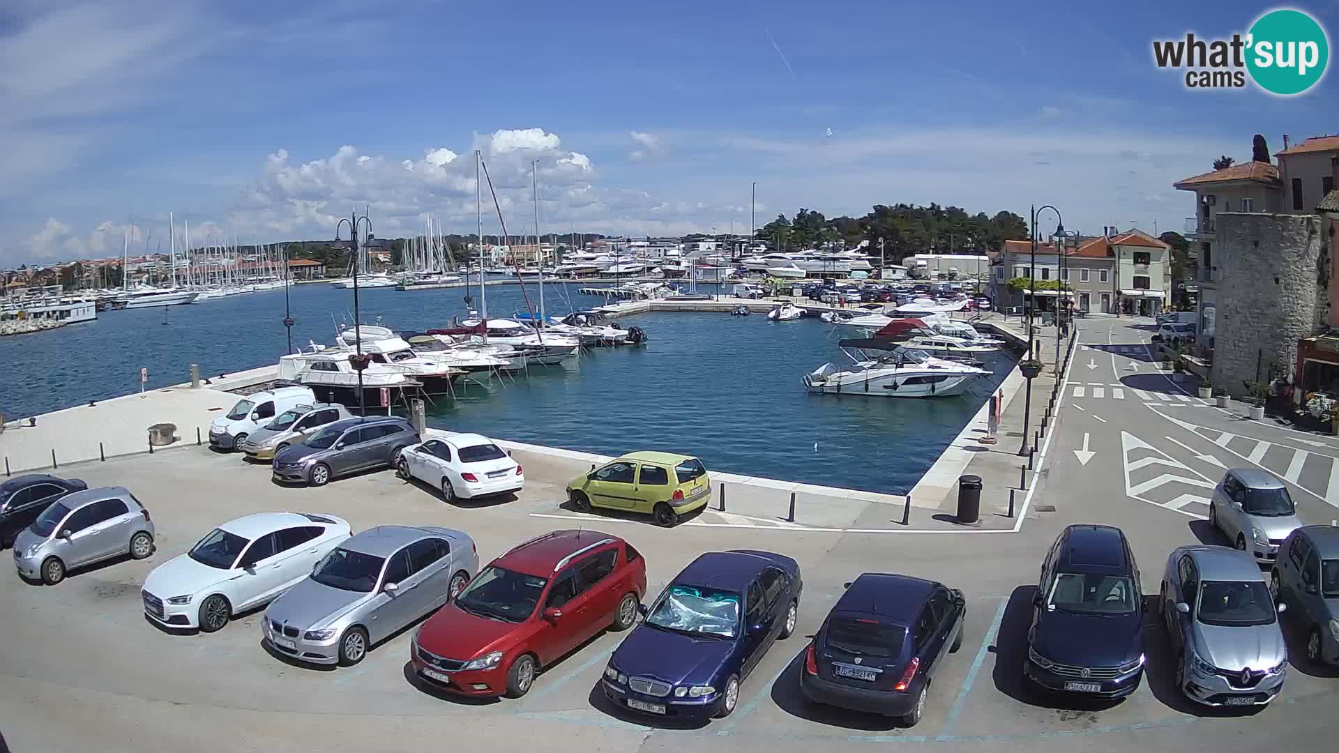 Novigrad | Porporela marina