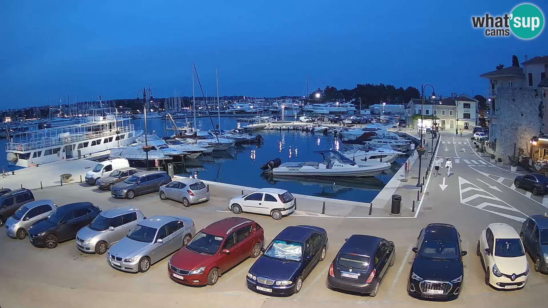 Novigrad | Porporela marina