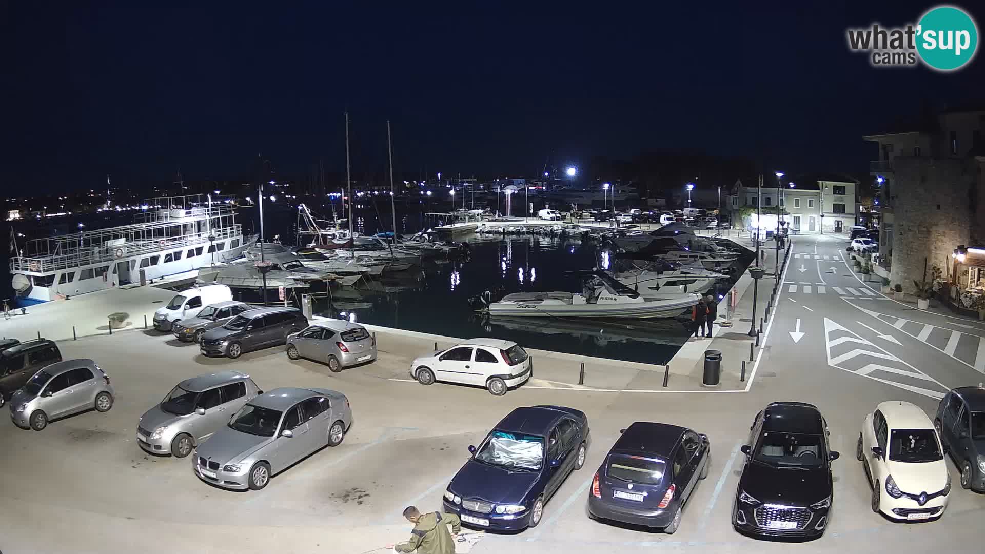 Novigrad | Porporela marina