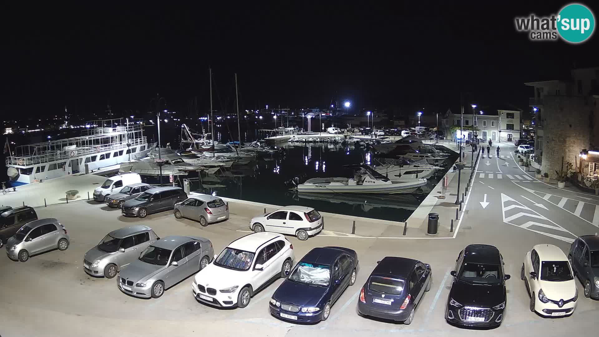 Novigrad | Porporela marina