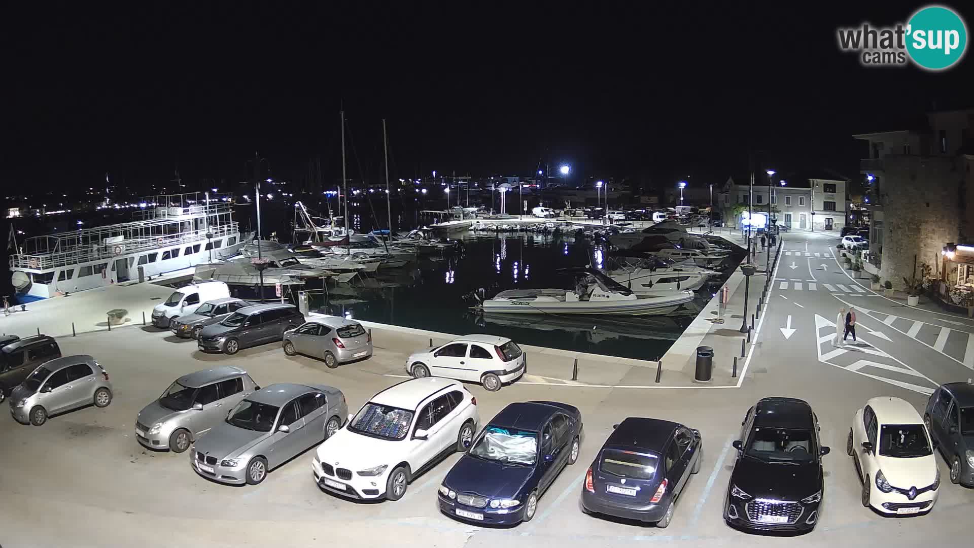Novigrad | Porporela marina