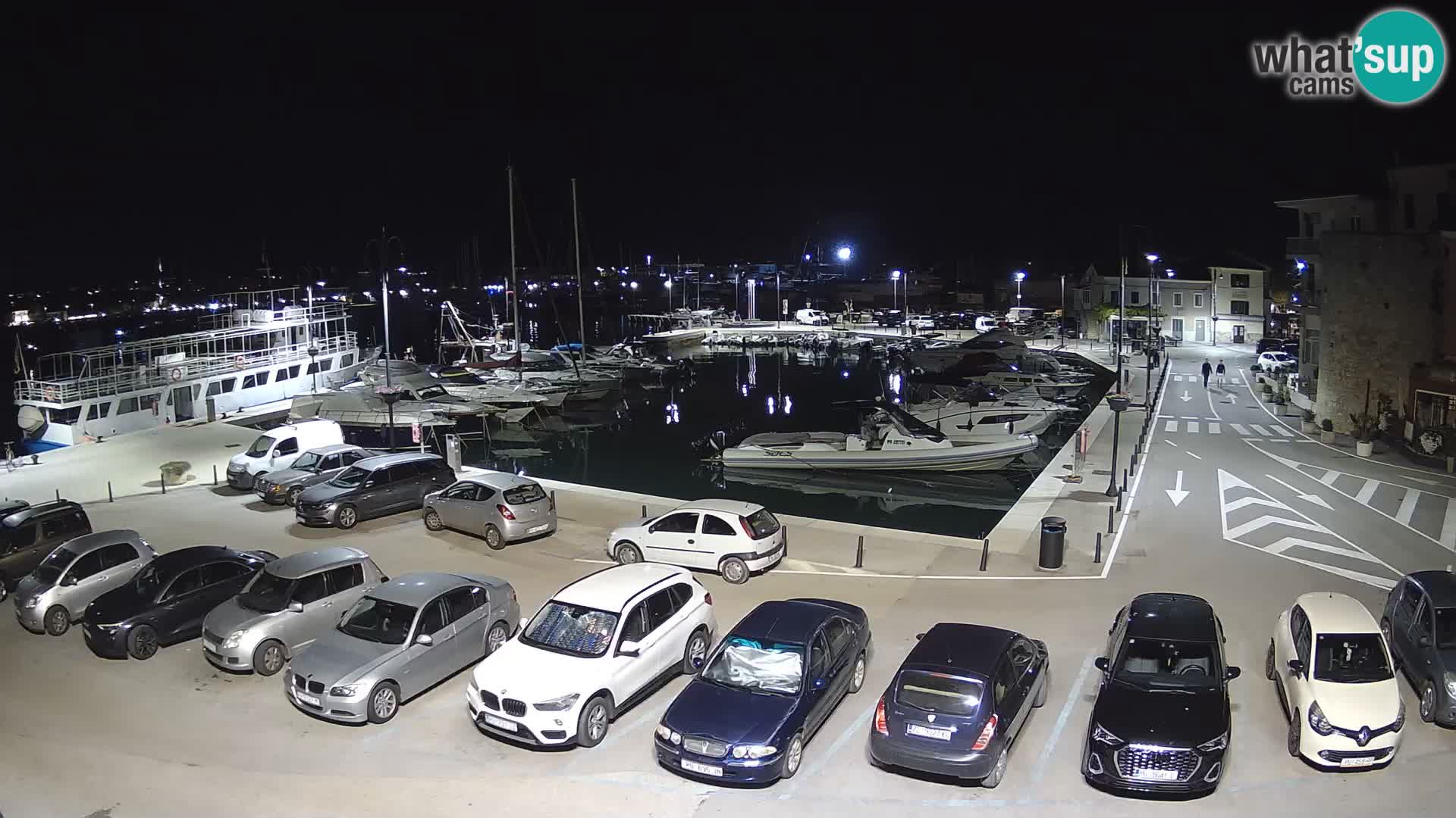 Novigrad | Porporela marina