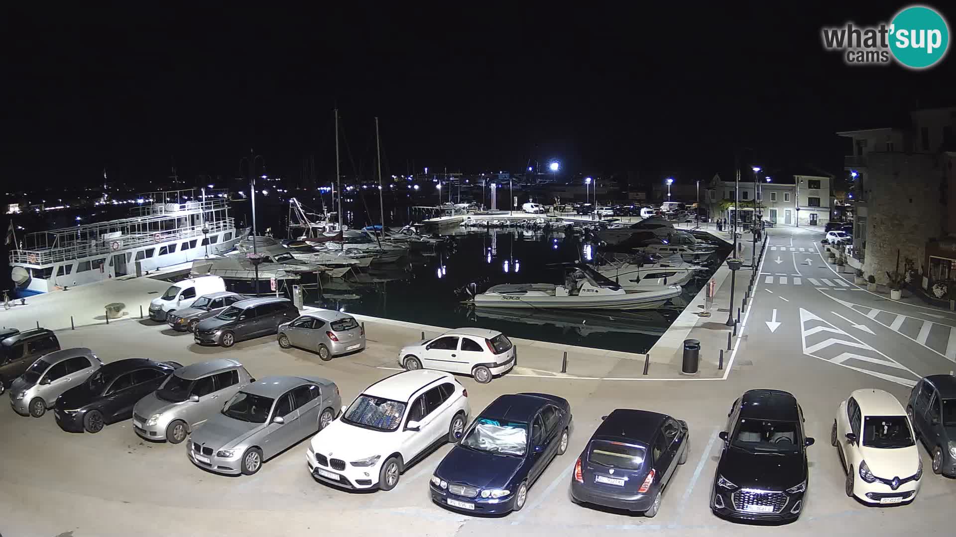 Novigrad | Porporela marina