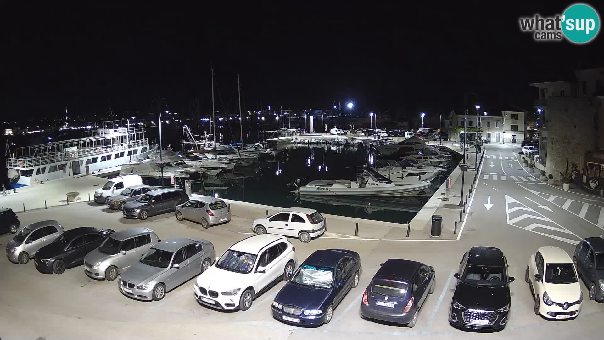 Novigrad | Porporela marina