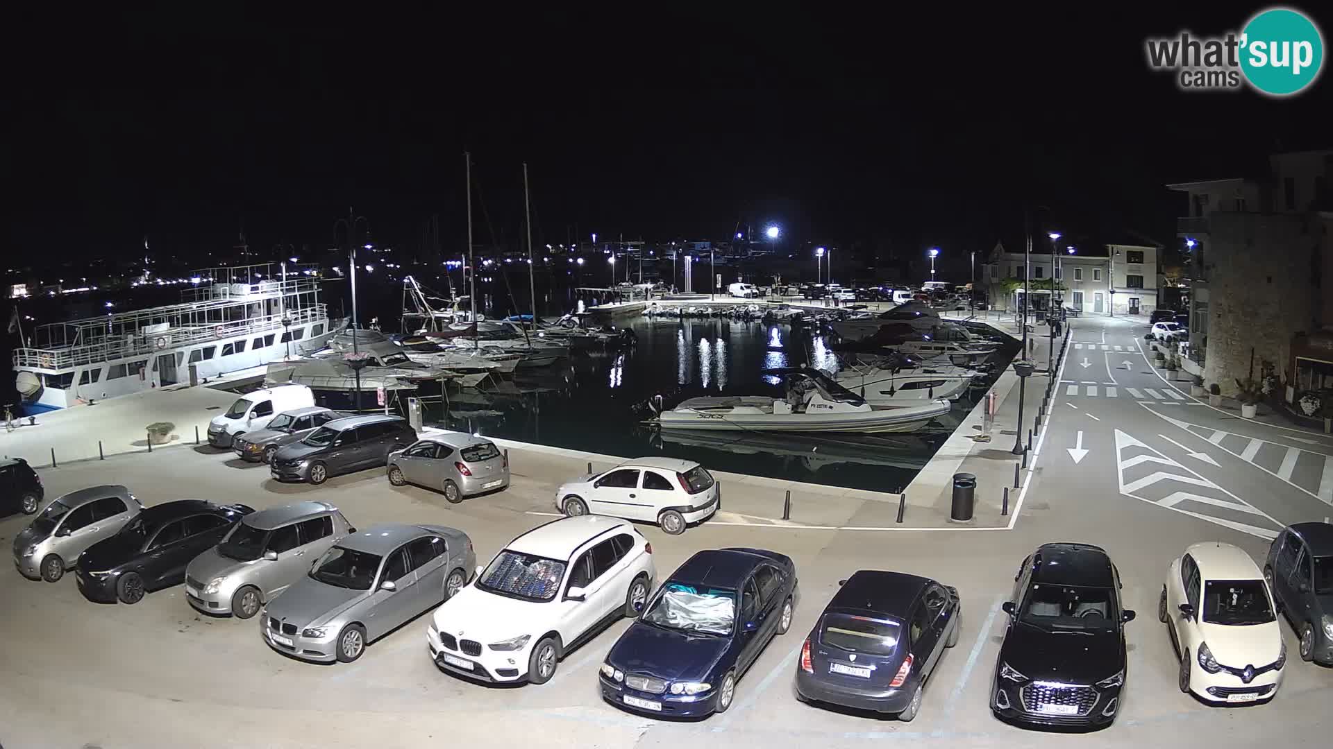 Novigrad | Porporela marina