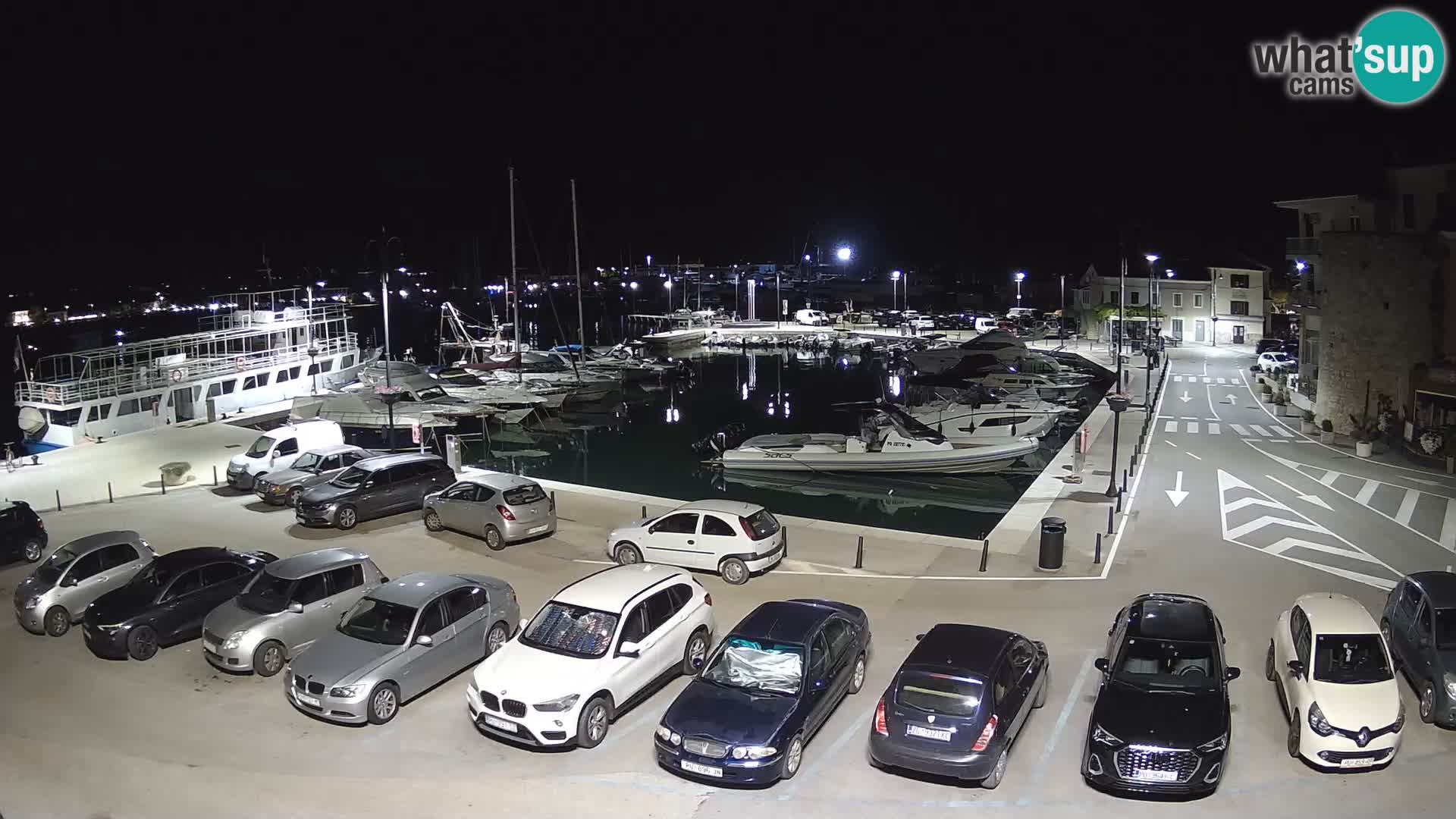 Novigrad | Porporela marina