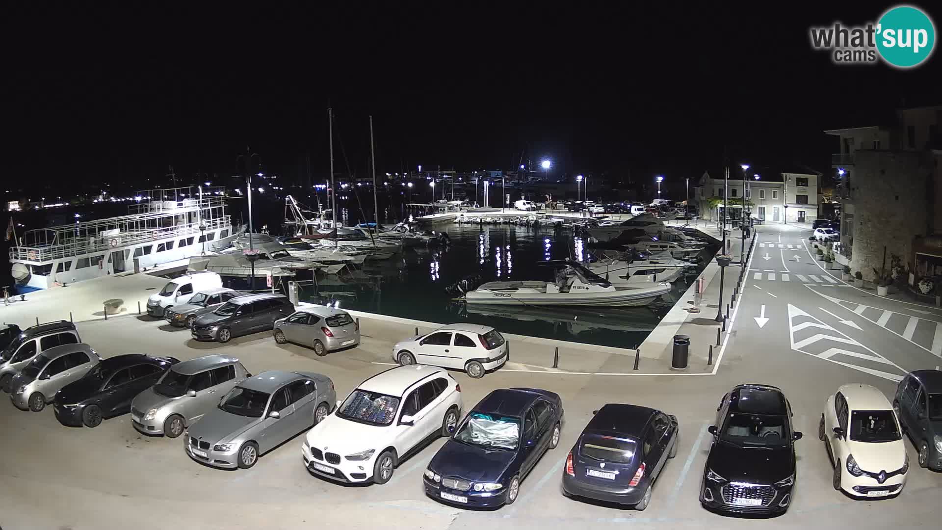 Novigrad | Porporela marina