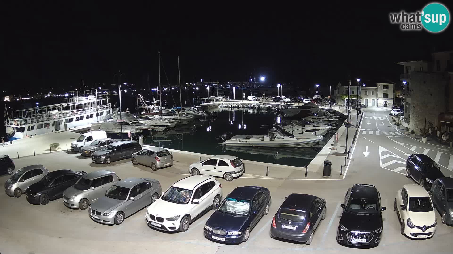 Novigrad | Porporela marina