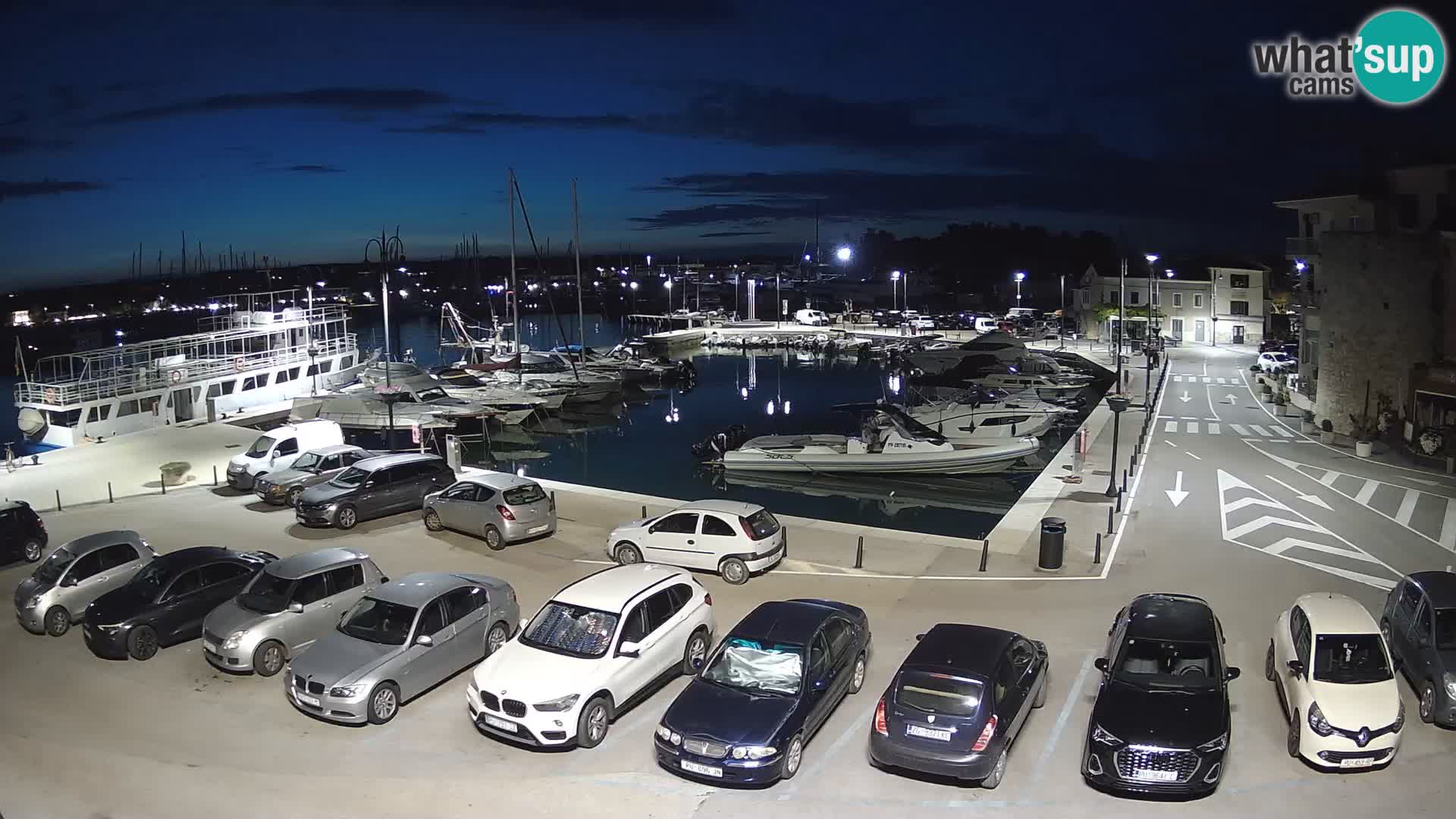 Novigrad | Porporela marina