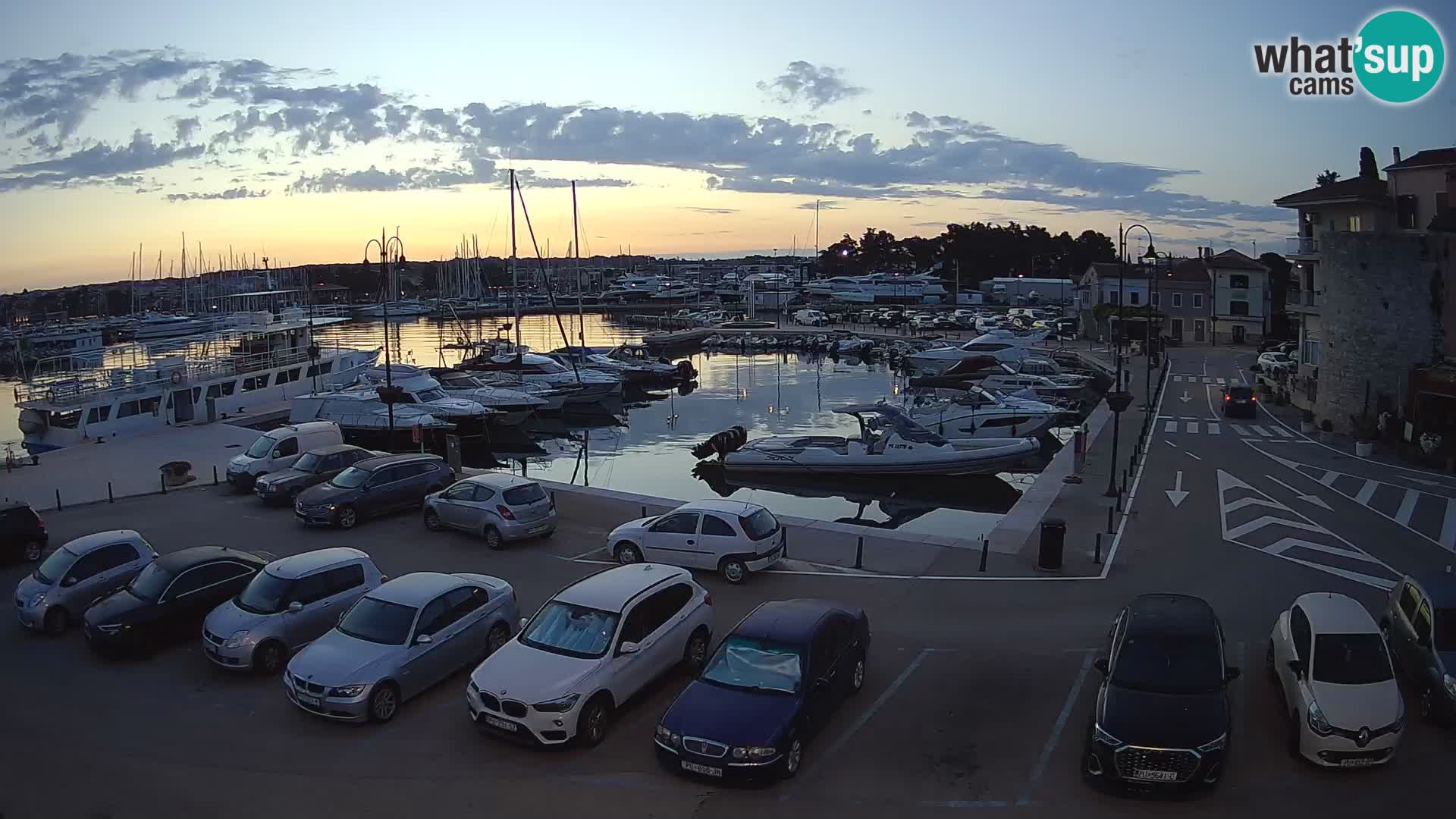 Novigrad | Porporela marina
