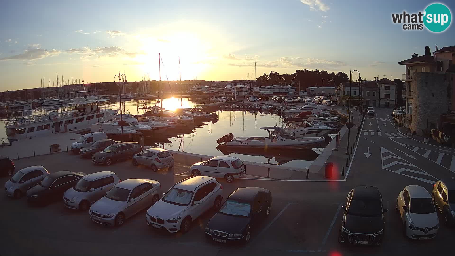 Novigrad | Porporela marina