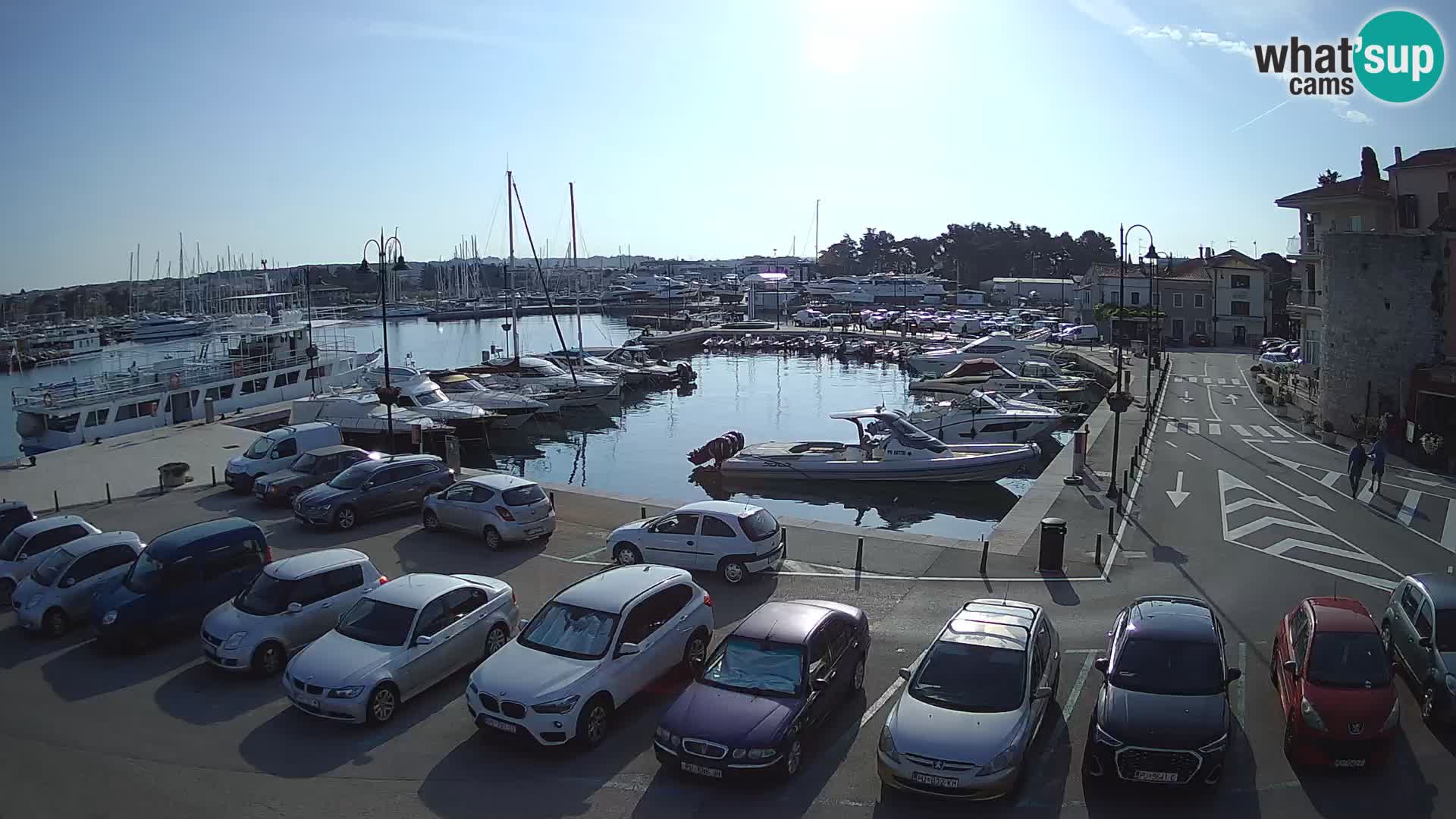 Novigrad | Porporela marina