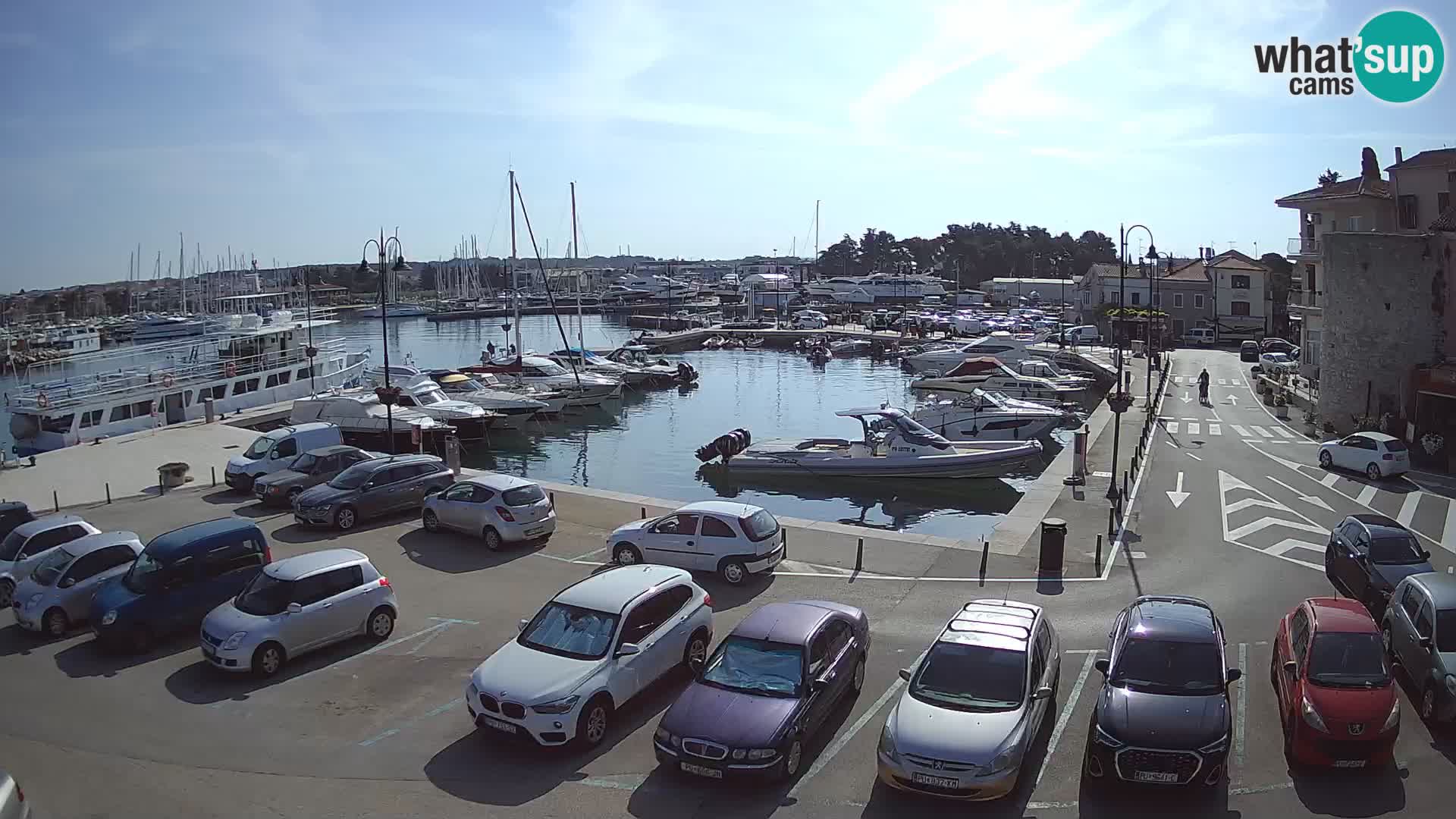 Novigrad | Porporela marina